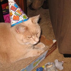 Meet your Posher, Debbie